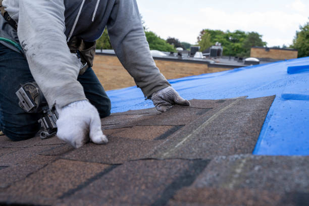 Best Roof Waterproofing Services  in Shady Point, OK