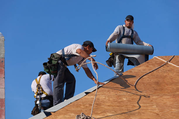 Best Metal Roofing Contractor  in Shady Point, OK