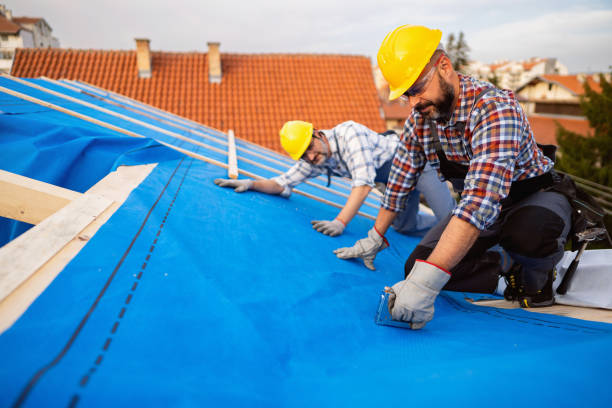 Best Roof Gutter Cleaning  in Shady Point, OK
