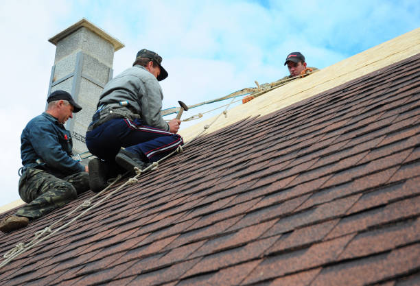 Best Tile Roofing Contractor  in Shady Point, OK